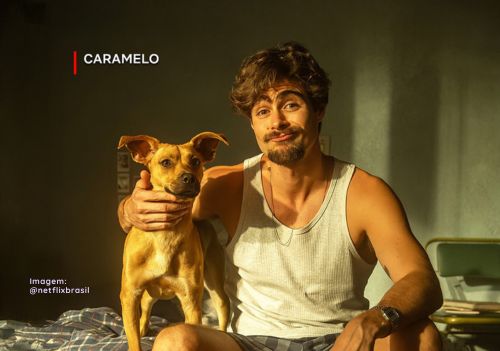 Se emocionou com “Caramelo”? Confira 5 filmes que celebram a amizade entre humanos e pets