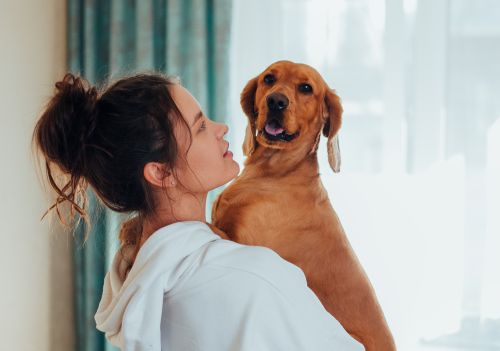 O comportamento do seu pet pode ser um reflexo das suas emoções