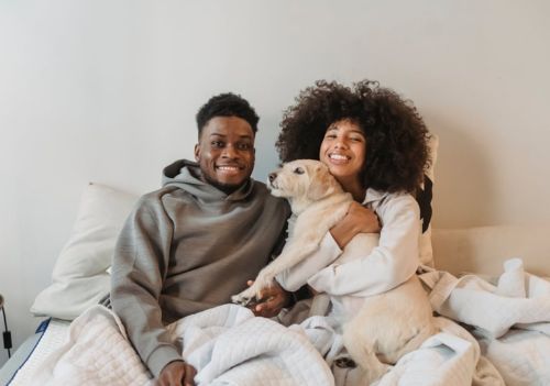 Seu cachorro dorme com você? Entenda os benefícios e riscos dessa prática