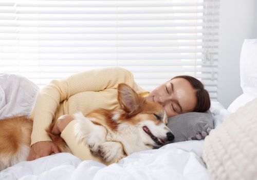 Ter um cachorro pode reduzir risco de morte e proteger o coração, apontam estudos