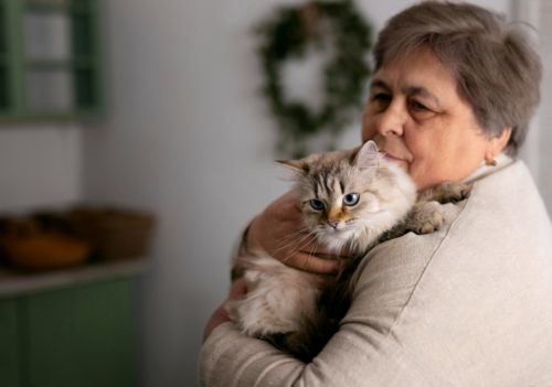 Estudo mostra como câncer em gatos pode ajudar a entender tumores humanos