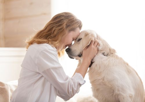 Por que tratamos pets como humanos, segundo a psicologia