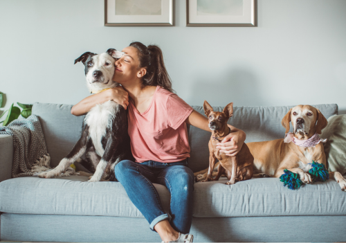 Adoção de pets pode reduzir estresse, combater o sedentarismo e transformar a rotina dos responsáveis