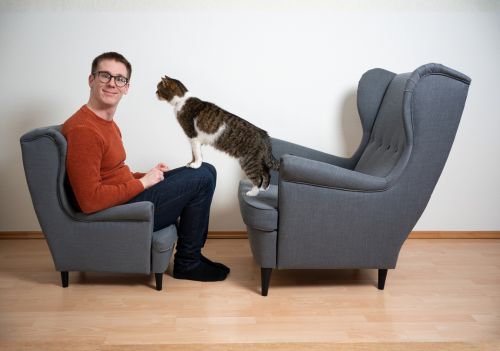 Falar com “voz de bebê” com gatos funciona? Entenda o que diz a ciência