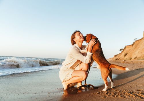 Cães conseguem detectar doenças como câncer e Alzheimer pelo cheiro do corpo humano