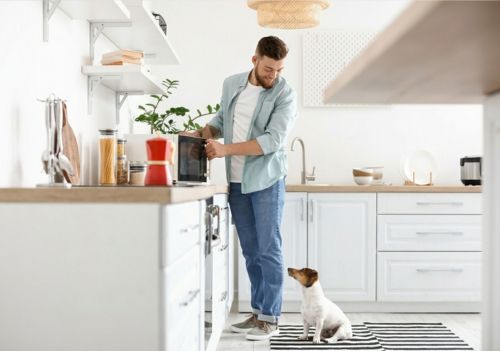 É seguro aquecer a comida do pet no micro-ondas?