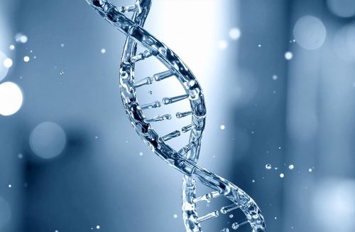 STJ confirma paternidade 20 anos após morte com base em DNA de irmãos e testemunhas